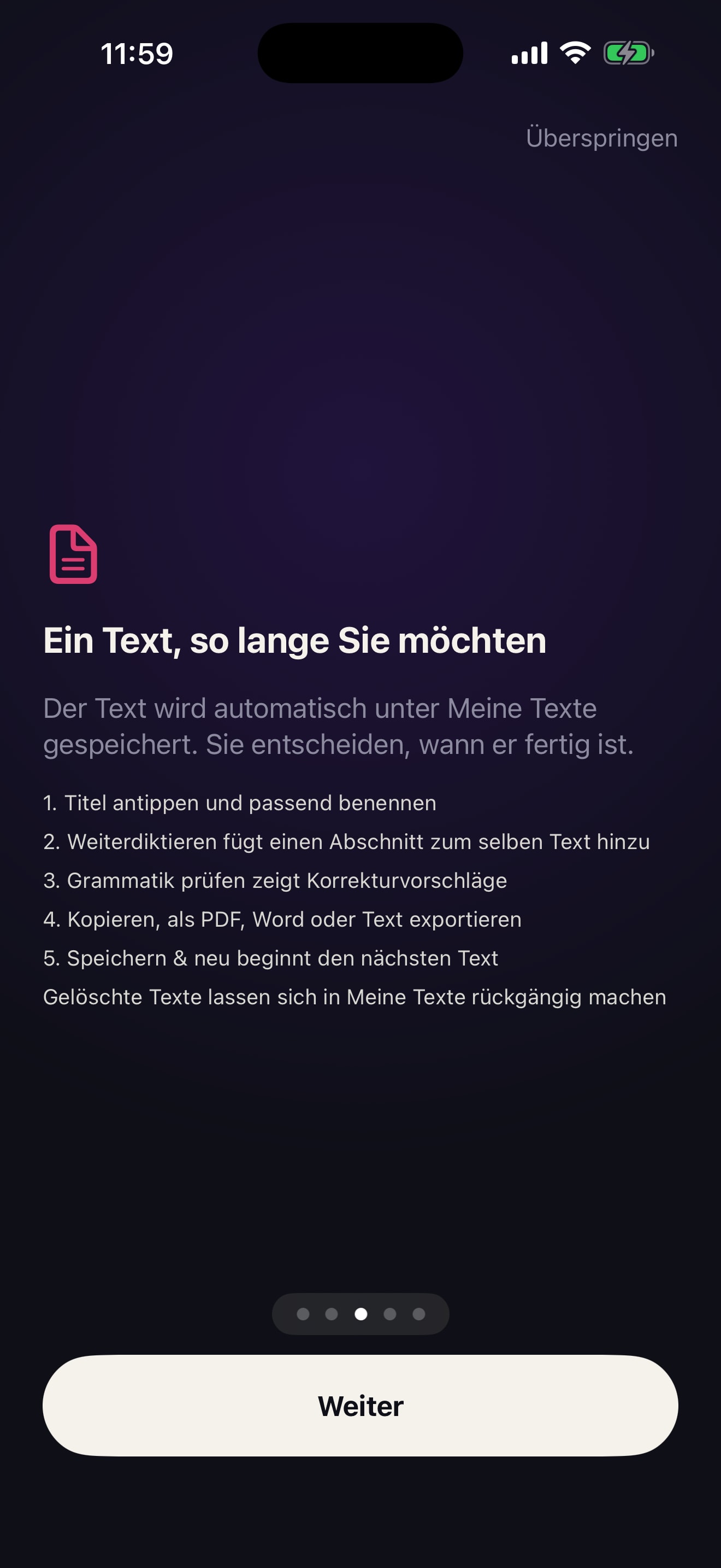 Diktaro erklärt Benennen, Weiterdiktieren, Grammatikprüfung, Export und Wiederherstellung.